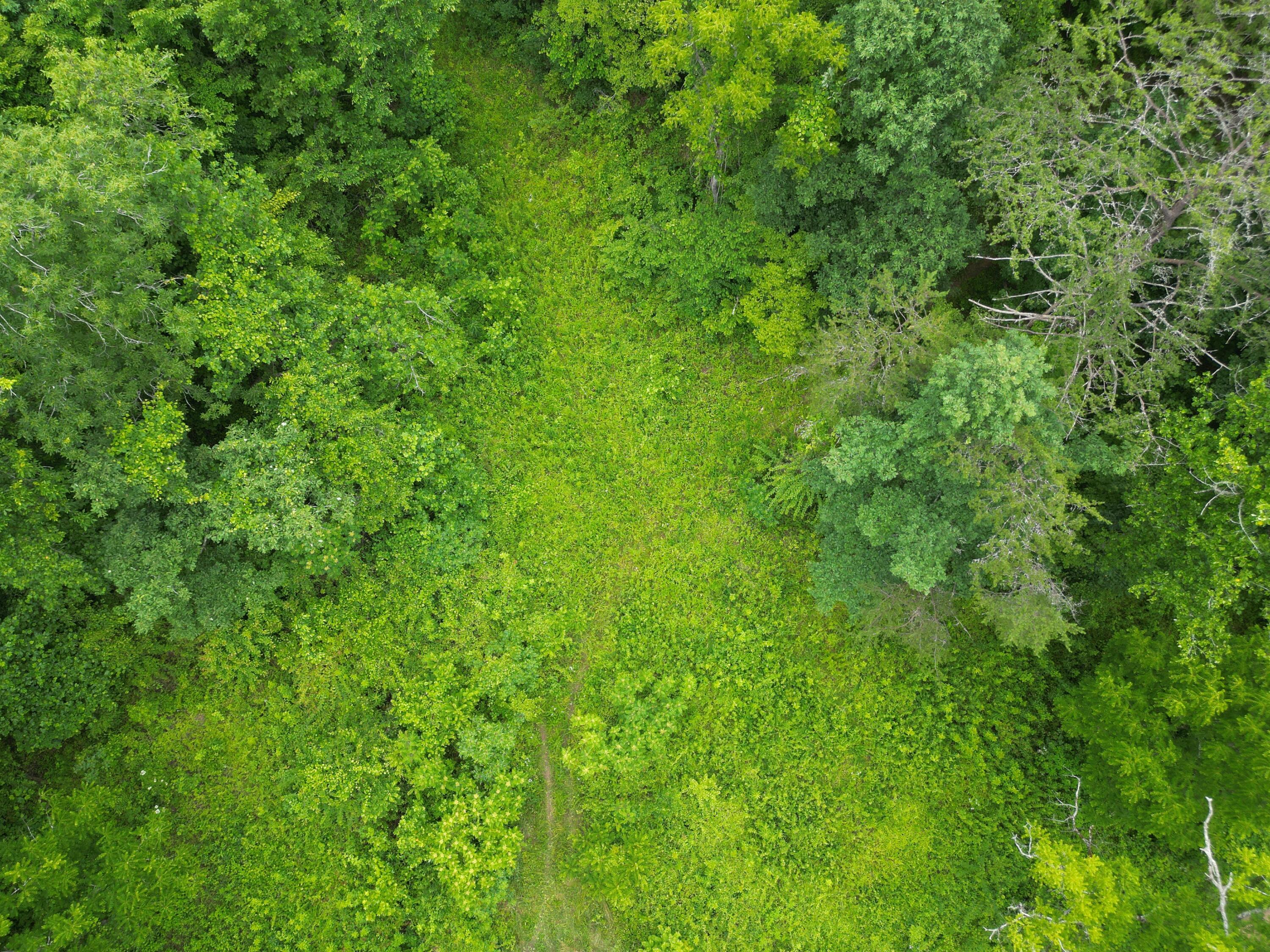 9991 Big Wildcat Road Manchester, KY 40962 - Photo 4 of 19 DJI_0139