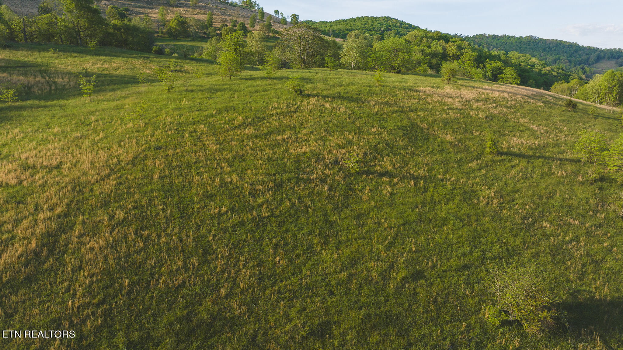12 R Big Springs Road Kyles Ford, TN 37765 - Photo 4 of 9 DJI_20240502185713_0976_D