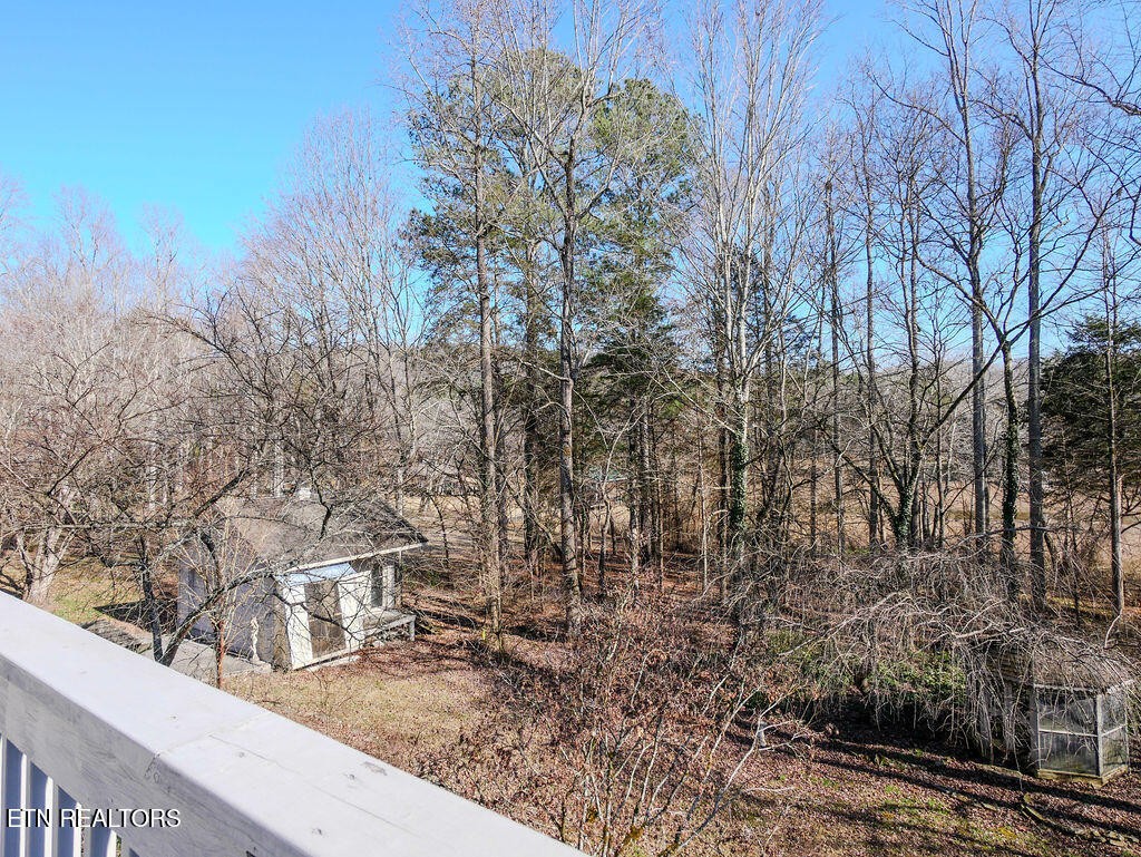 197 Lakehaven Circle Decatur, TN 37322 - Photo 54 of 58 a view of a yard and trees
