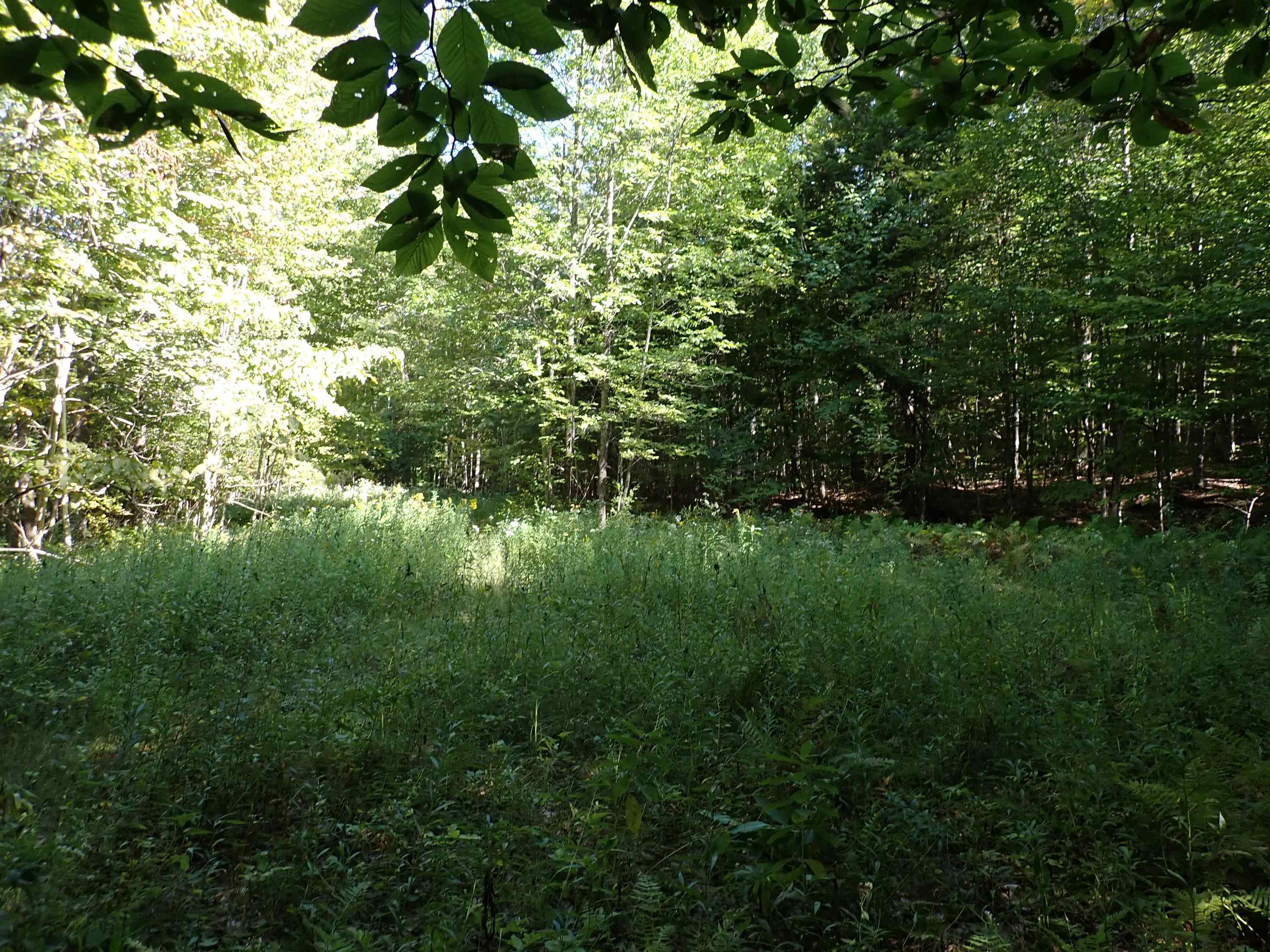 2758 Graniteville Road Williamstown, VT 05654 - Photo 9 of 10 Gallery Image 9