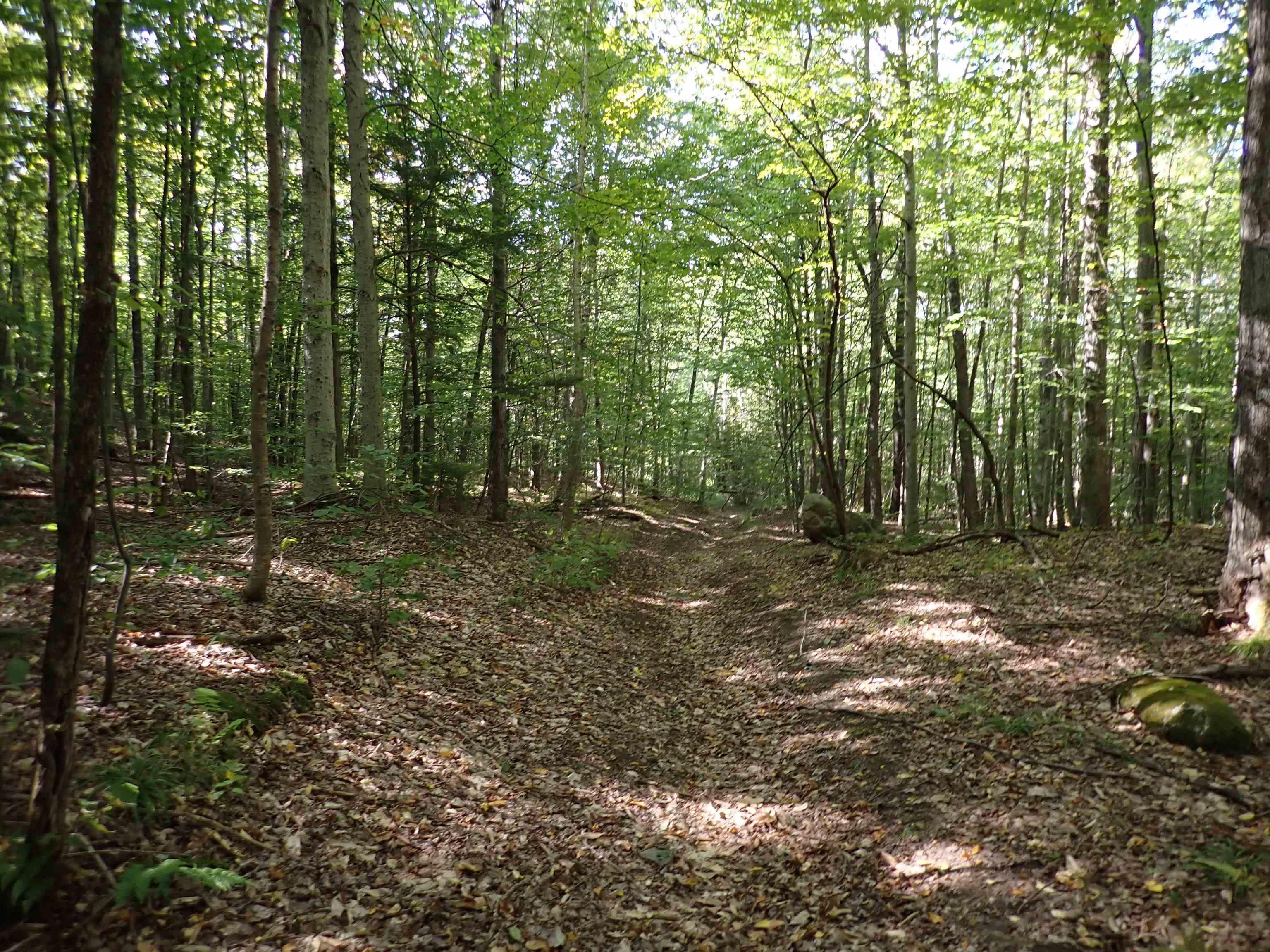 2758 Graniteville Road Williamstown, VT 05654 - Photo 10 of 10 Gallery Image 10