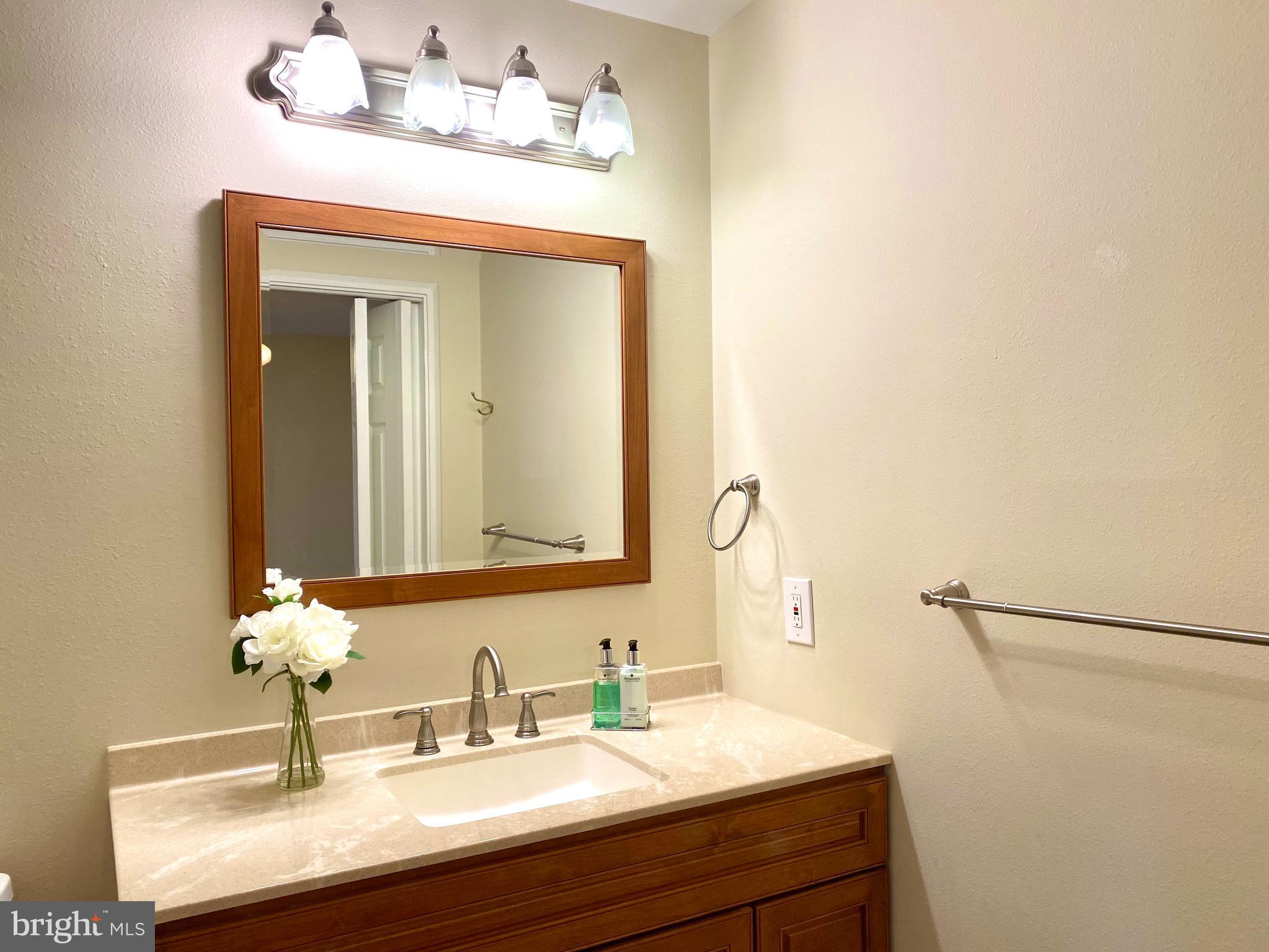 3408 Hallaton Court, Unit 165B Silver Spring, MD 20906 - Photo 17 of 40 PRIMARY BATH, DOUBLE DOOR ENTRY, UPDATED VANITY