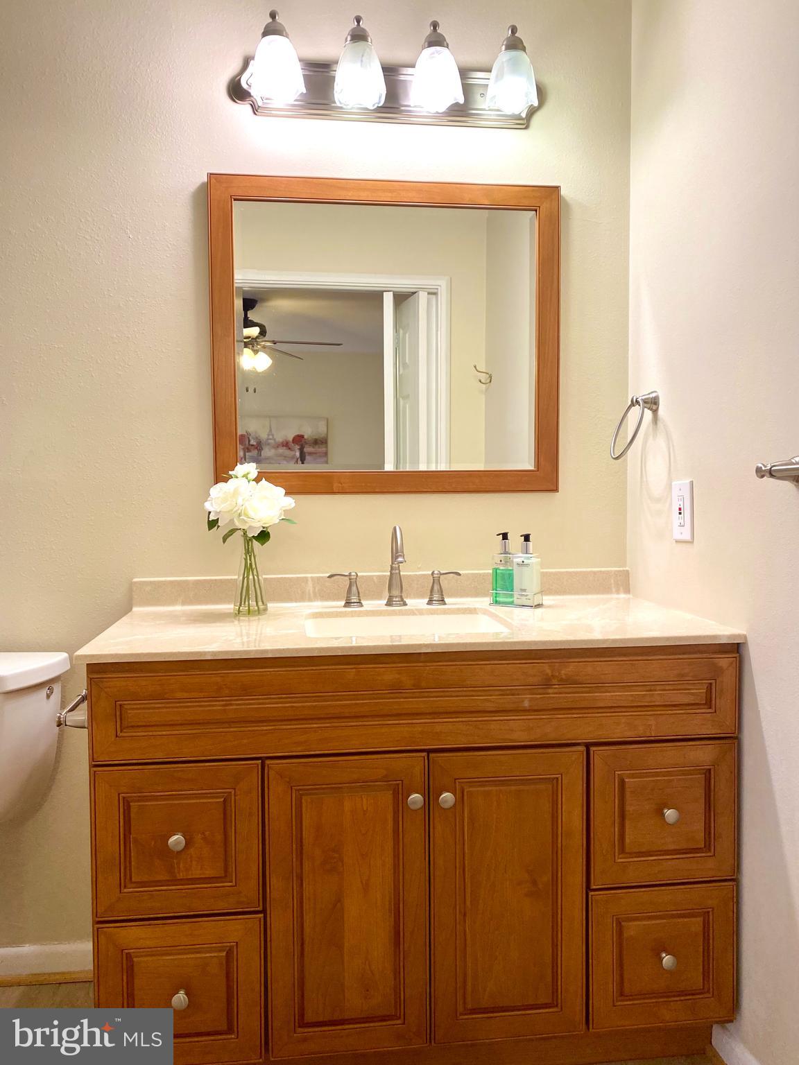 3408 Hallaton Court, Unit 165B Silver Spring, MD 20906 - Photo 19 of 40 MATCHING VANITY AND MIRROR