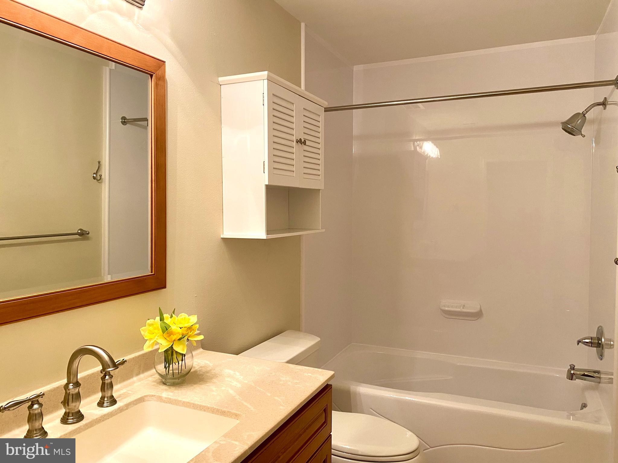 3408 Hallaton Court, Unit 165B Silver Spring, MD 20906 - Photo 21 of 40 BATH FITTER UPDATED HALL BATH, MEDICINE CABINET