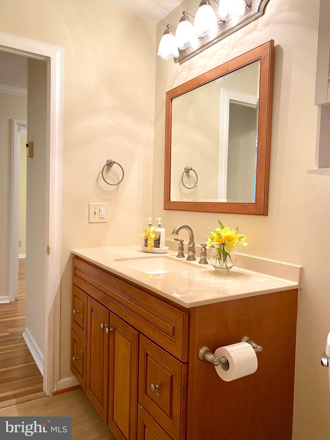 3408 Hallaton Court, Unit 165B Silver Spring, MD 20906 - Photo 22 of 40 UPDATED LIGHTING, VANITY AND MIRROR