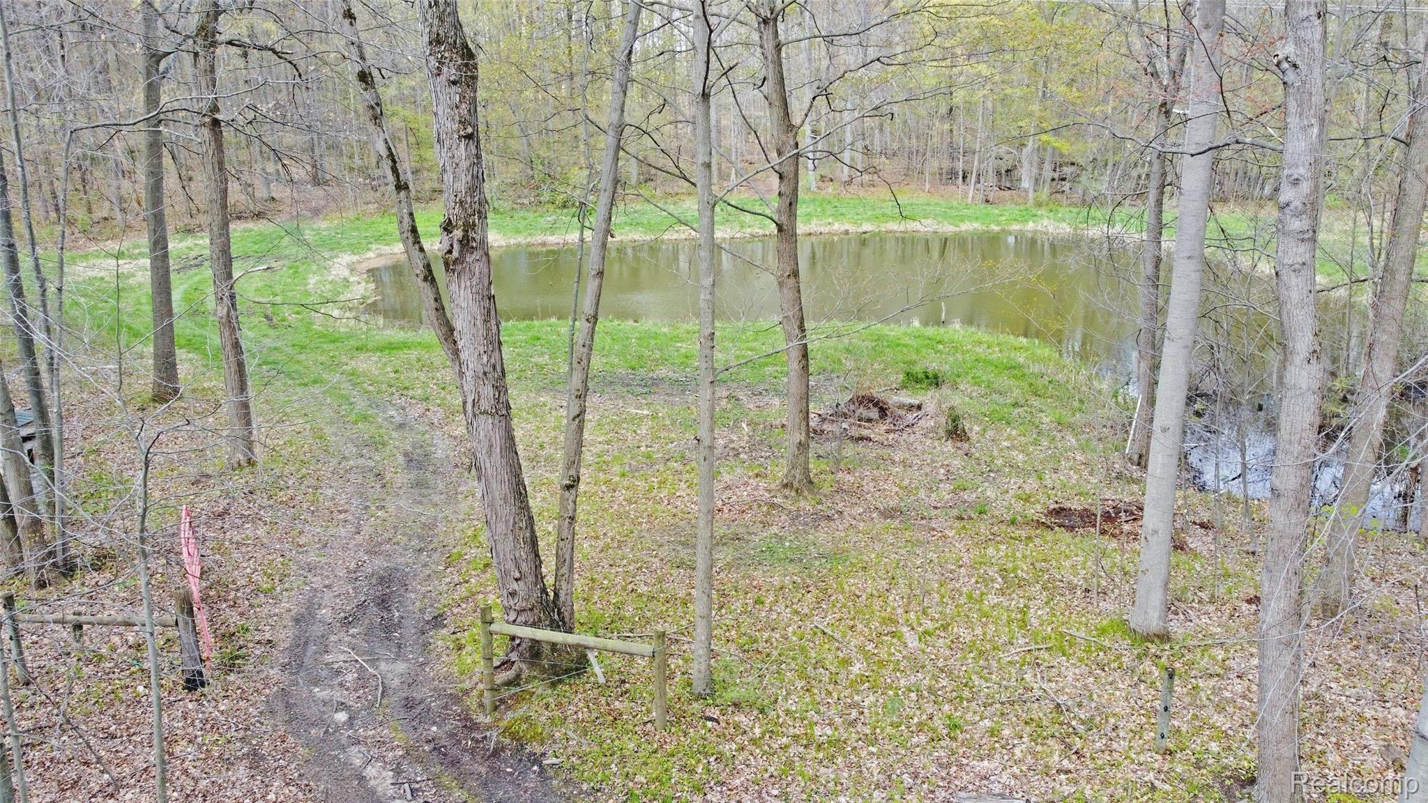 4095 Flint River Road Columbiaville, MI 48421 - Photo 67 of 84 68) Aerial Pond.jpg