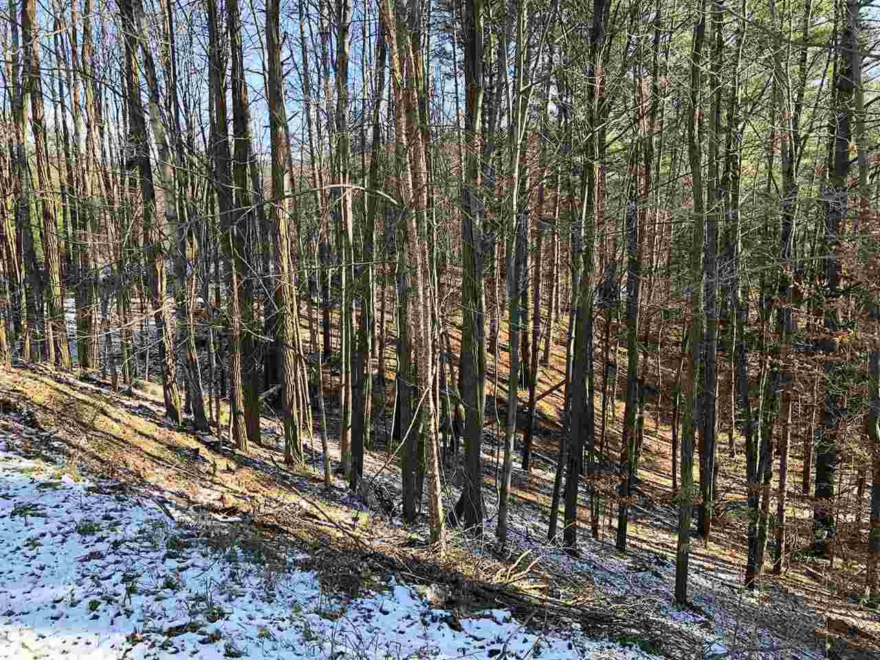 129 Lincoln Gap Road Warren, VT 05674 - Photo 3 of 4