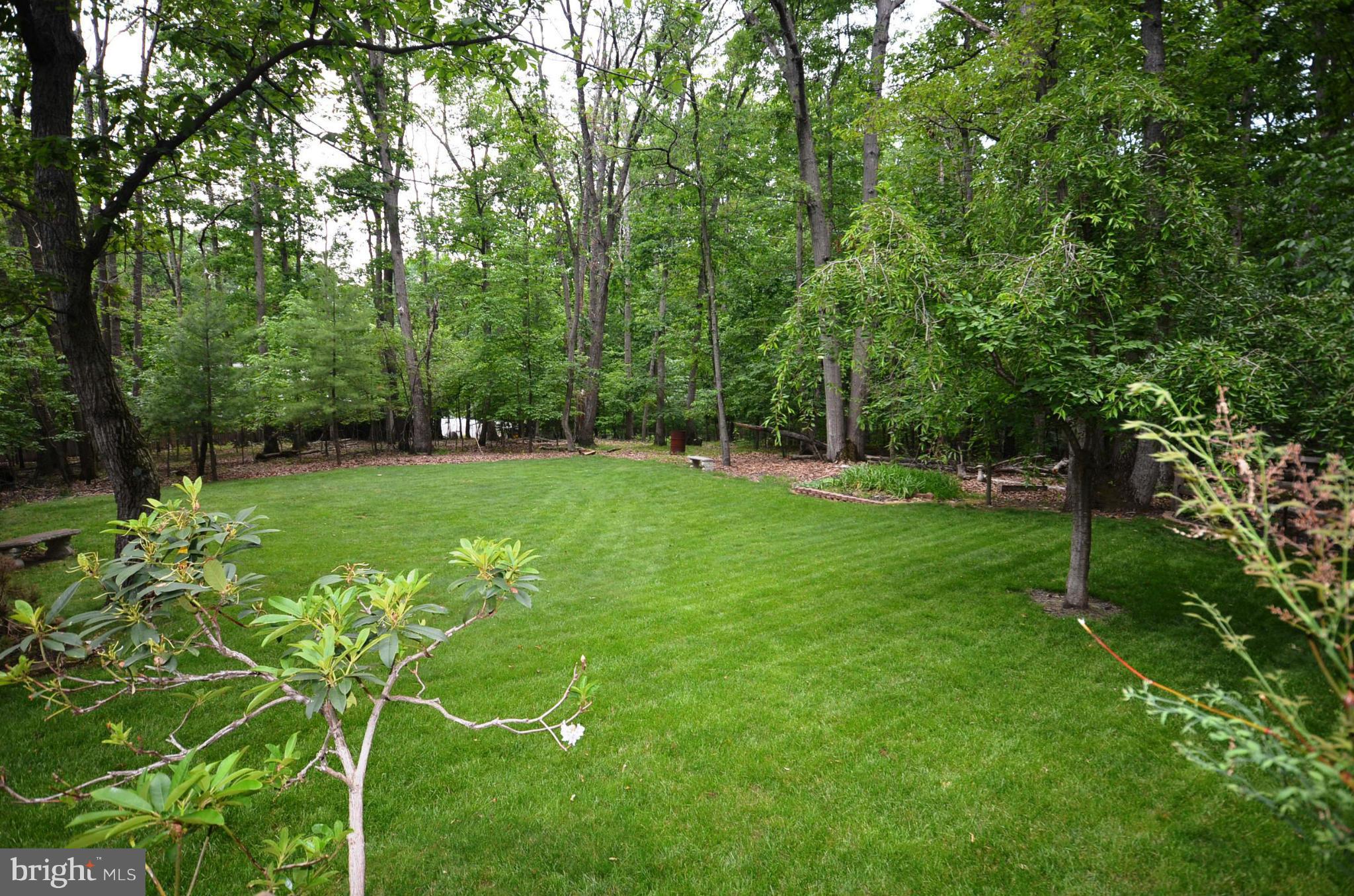 7424 Dance Hall Road Frederick, MD 21701 - Photo 3 of 29 Backyard