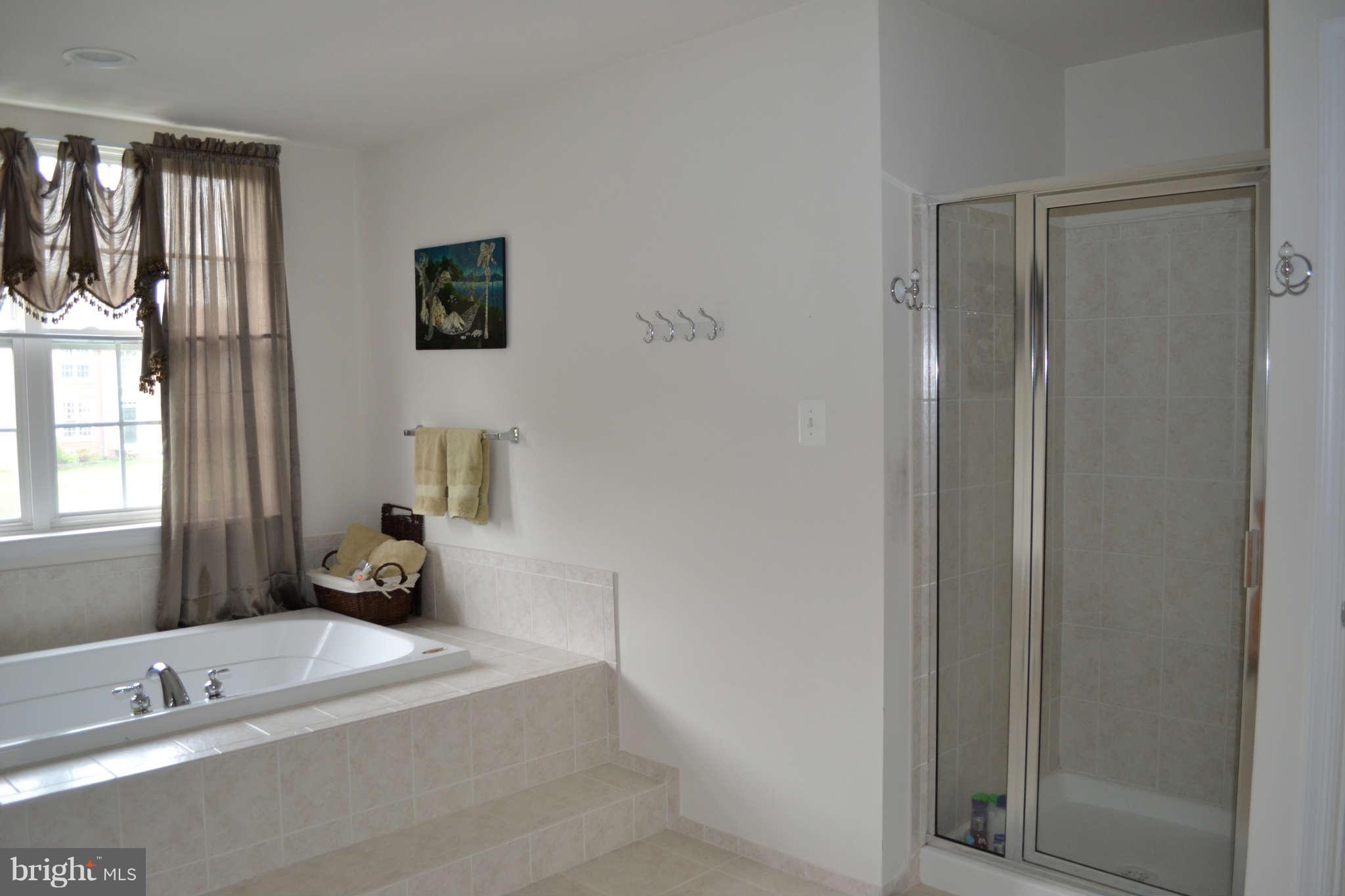 2305 Manor Spring Terrace Silver Spring, MD 20906 - Photo 18 of 22 Bath (Master)