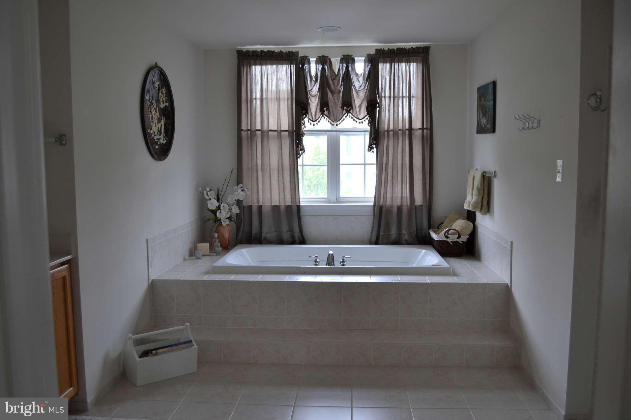 2305 Manor Spring Terrace Silver Spring, MD 20906 - Photo 19 of 22 Bath (Master)