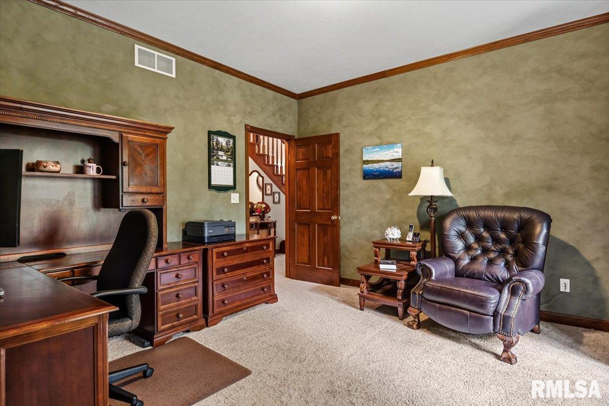 49 Woodland Trail Rochester, IL 62563 - Photo 33 of 98