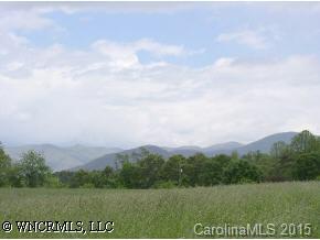 0 Pleasant Grove Road Weaverville, NC 28787 - Photo 2 of 7