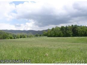 0 Pleasant Grove Road Weaverville, NC 28787 - Photo 3 of 7 a view of an outdoor space and a yard