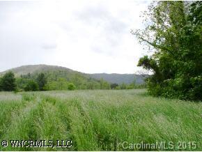 0 Pleasant Grove Road Weaverville, NC 28787 - Photo 6 of 7 a view of grassy field with trees