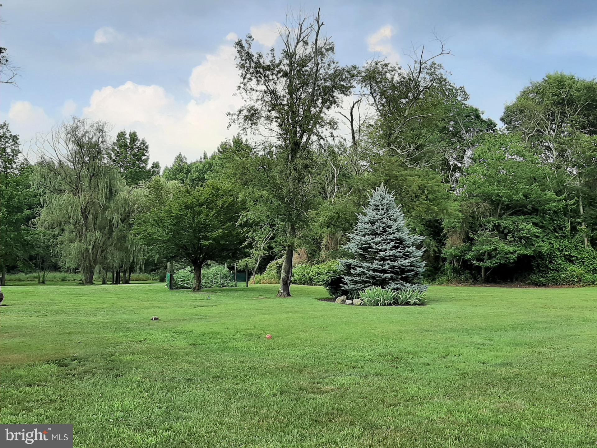 643 Etra Road East Windsor, NJ 08520 - Photo 25 of 26 a view of green field with trees in the background