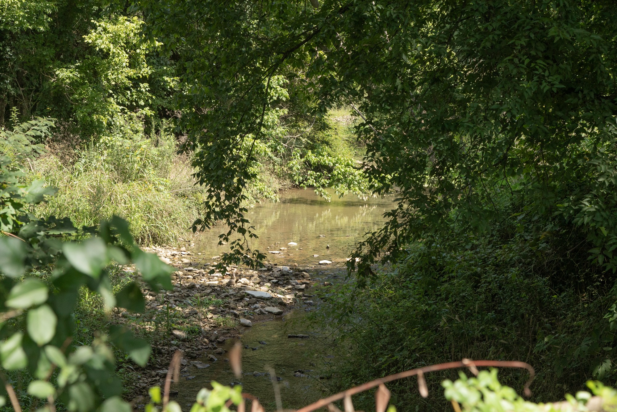 0 Water Valley Road Santa Fe, TN 38482 - Photo 1 of 11