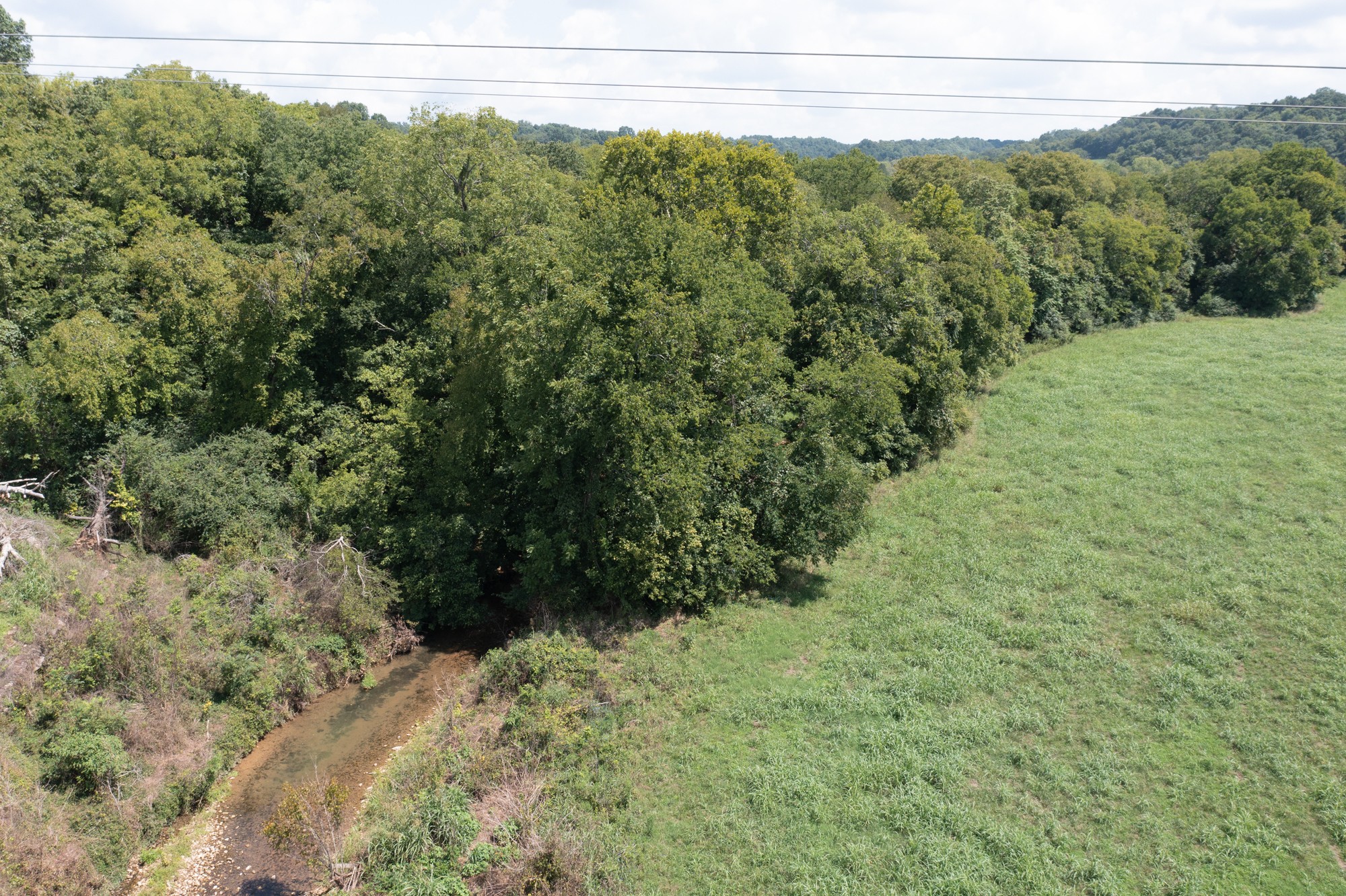 0 Water Valley Road Santa Fe, TN 38482 - Photo 6 of 11