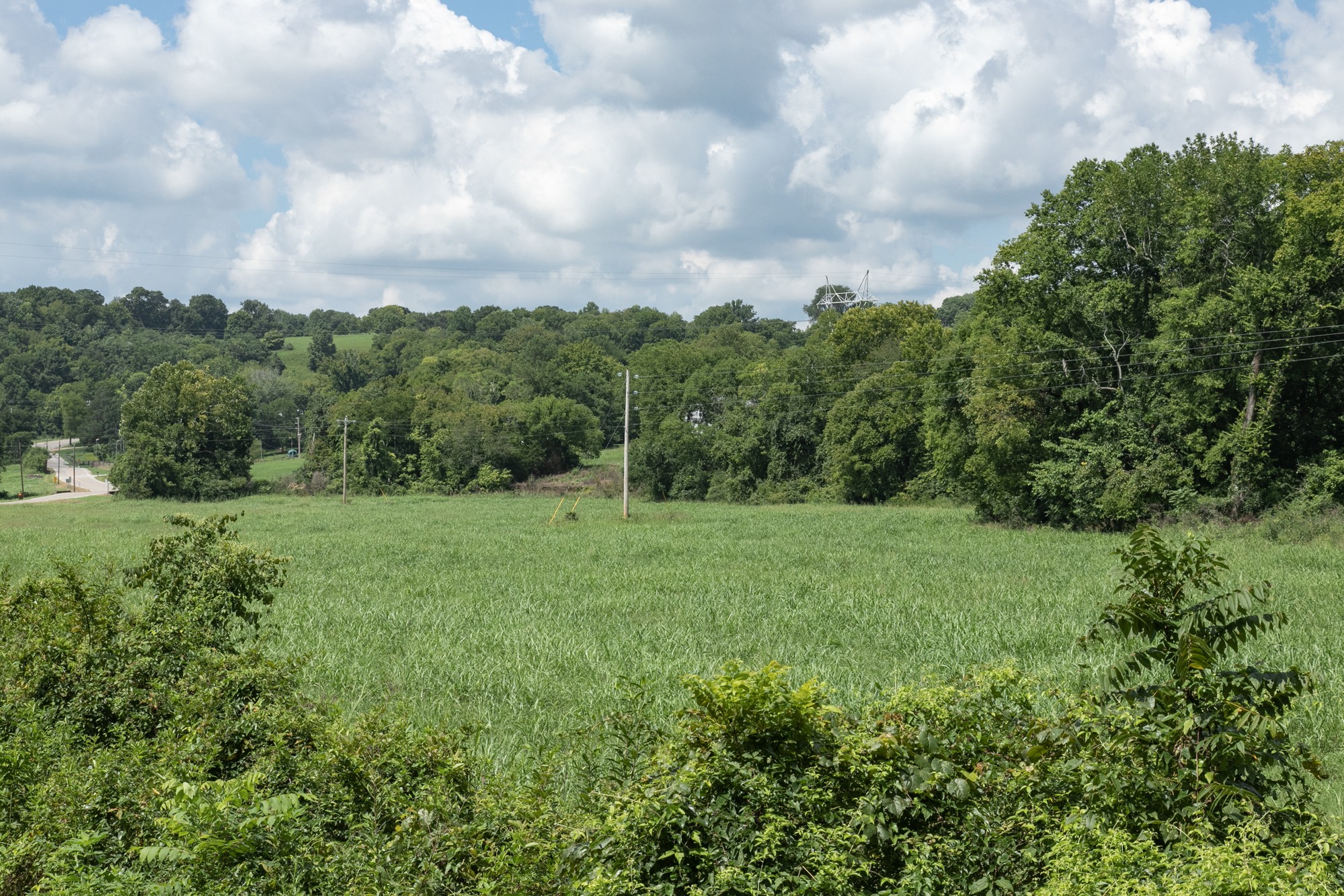 0 Water Valley Road Santa Fe, TN 38482 - Photo 10 of 11