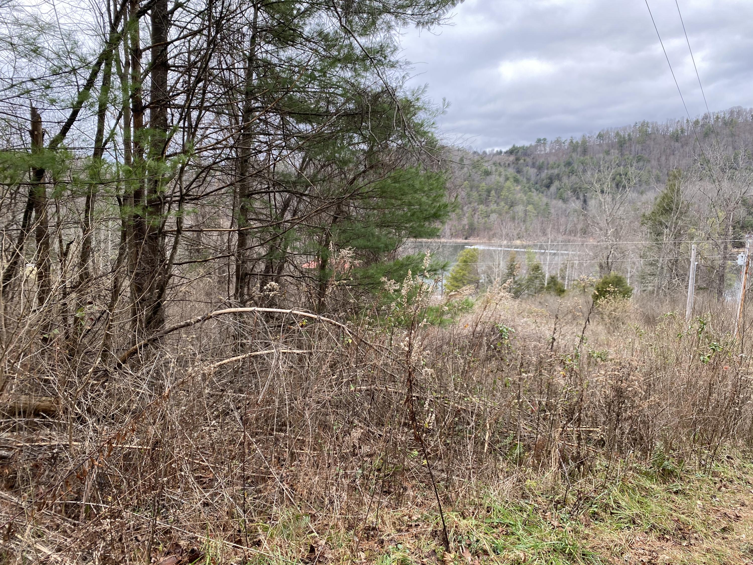 Tbd Tbd Buntontown & Norris Road Butler, TN 37640 - Photo 12 of 25 90B4F476-E5A6-4CBC-BB62-F7E10524F0D0