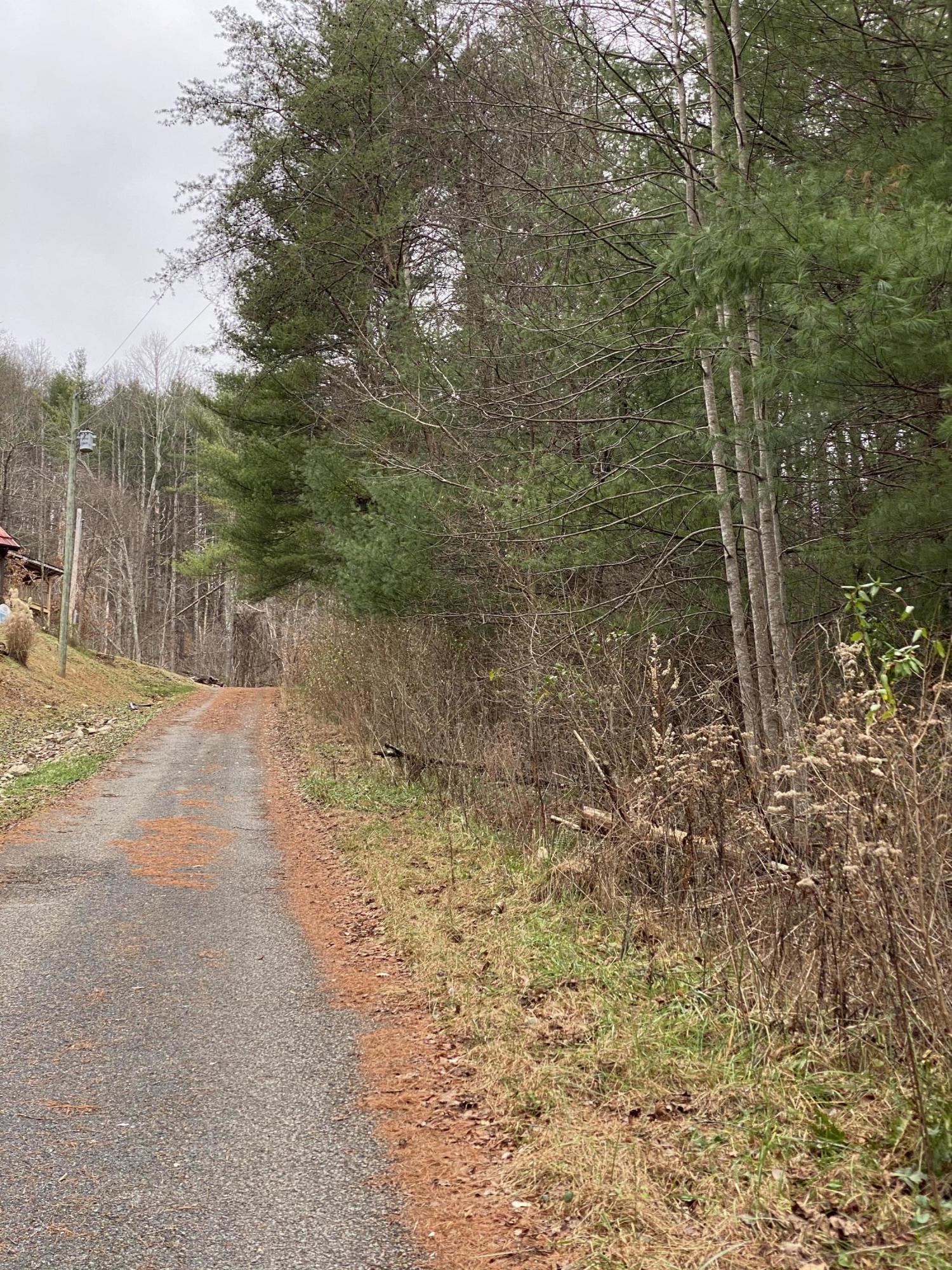 Tbd Tbd Buntontown & Norris Road Butler, TN 37640 - Photo 13 of 25 048F5D4E-FDDB-47A4-89D2-1AA89598F0DE