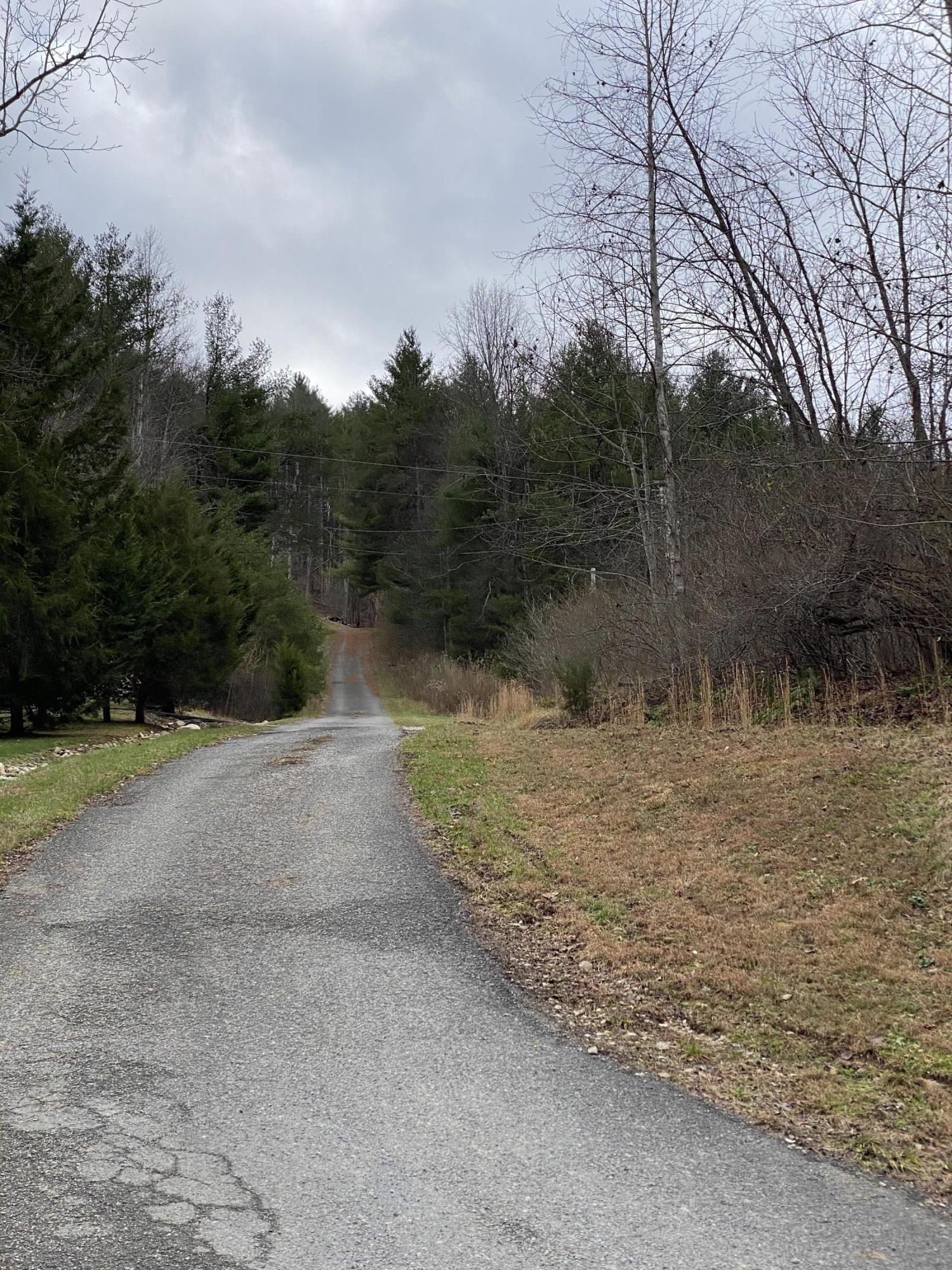 Tbd Tbd Buntontown & Norris Road Butler, TN 37640 - Photo 15 of 25 F4144B43-2E8D-4E92-A681-9FFB8222A99E