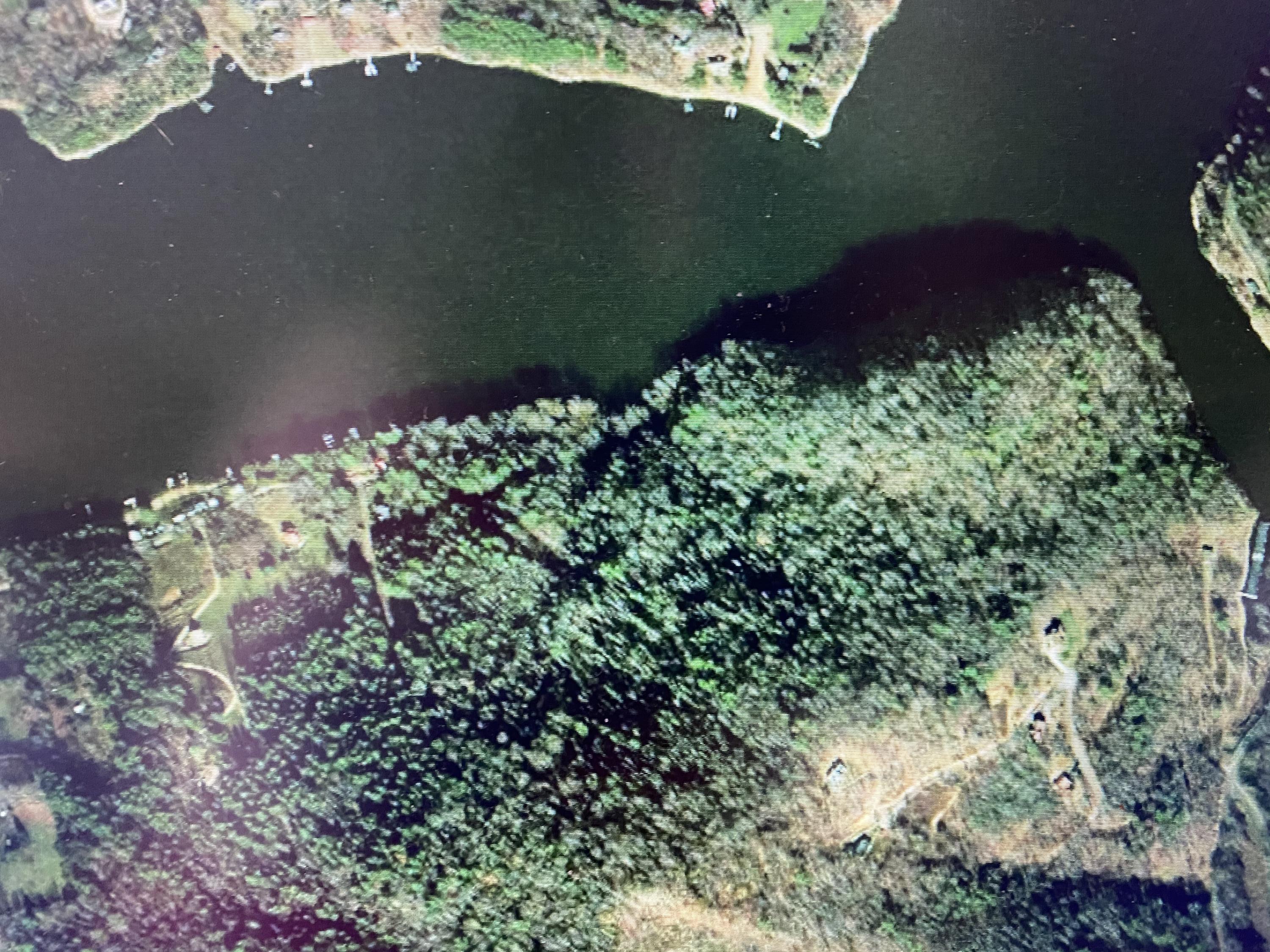 Tbd Tbd Buntontown & Norris Road Butler, TN 37640 - Photo 24 of 25 822AFDDB-514A-4A92-A318-EF2986EB771A