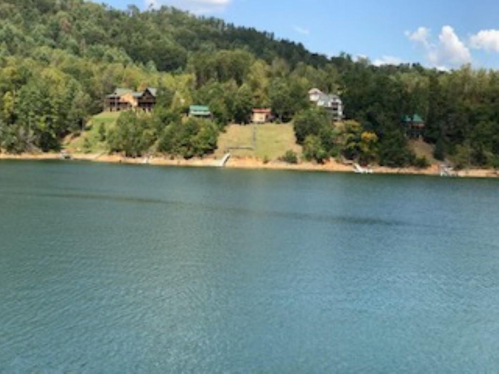 Tbd Tbd Buntontown & Norris Road Butler, TN 37640 - Photo 4 of 25 Photo 4