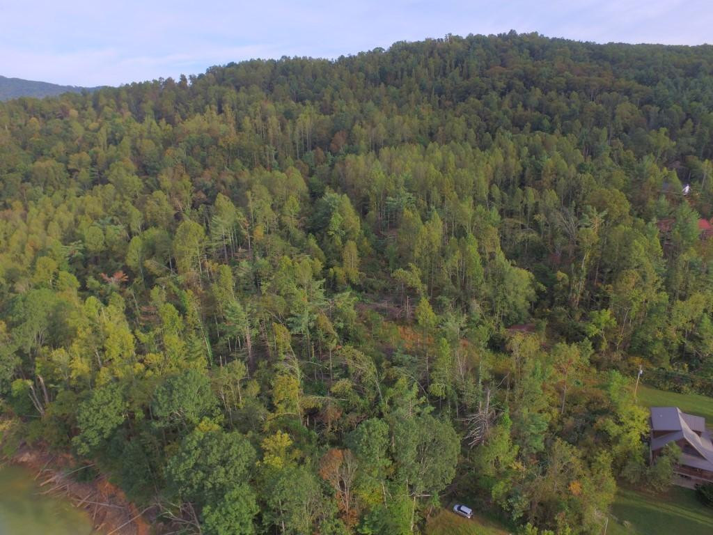 Tbd Tbd Buntontown & Norris Road Butler, TN 37640 - Photo 6 of 25 Photo 6