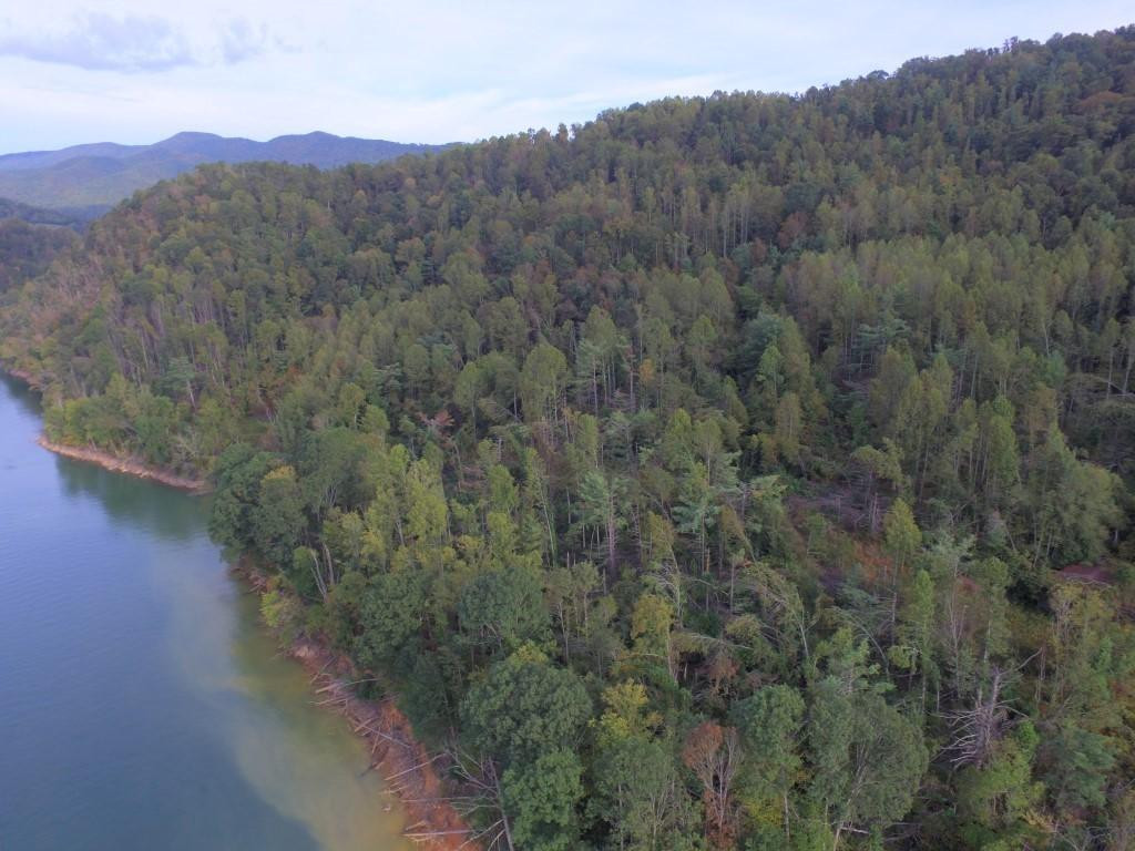 Tbd Tbd Buntontown & Norris Road Butler, TN 37640 - Photo 7 of 25 Photo 7