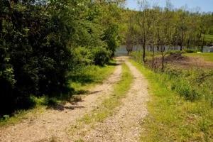 Tbd Tbd Buntontown & Norris Road Butler, TN 37640 - Photo 8 of 25 CFC2D178-6D0E-4CF8-9991-3BD04E259E19