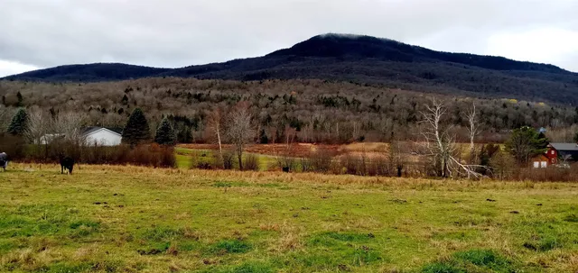 $100,000 | Lot 5 Vt Rt 12, Elmore, VT 05661