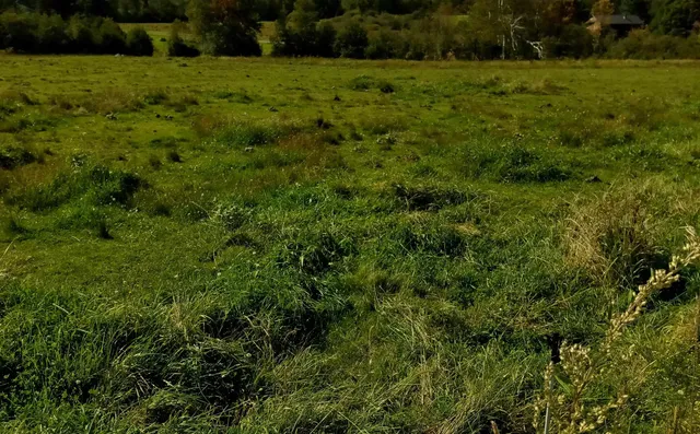 $100,000 | Lot 5 Vt Rt 12, Elmore, VT 05661