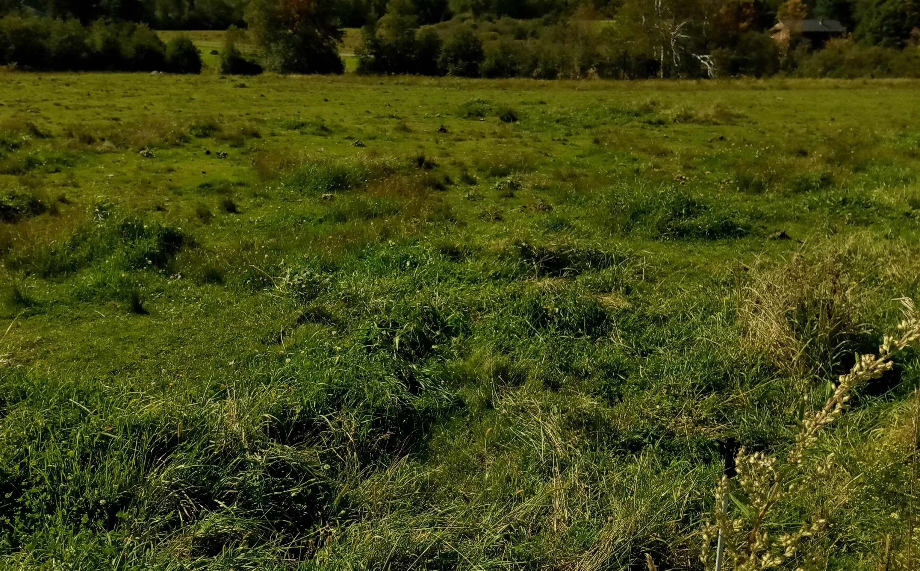 Lot 5 Vt Rt 12 Elmore, VT 05661 - Photo 6 of 7