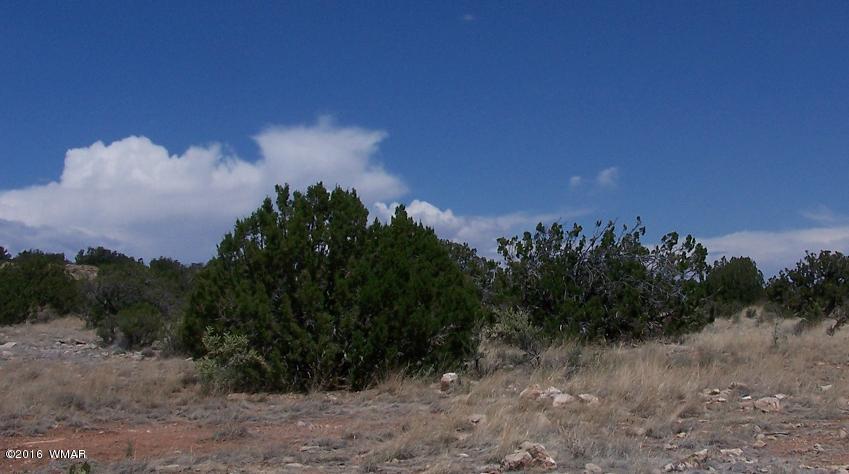 12 Sec 12 T14n R16e;se4 Ne4 Sw4 Heber, AZ 85928 - Photo 2 of 5