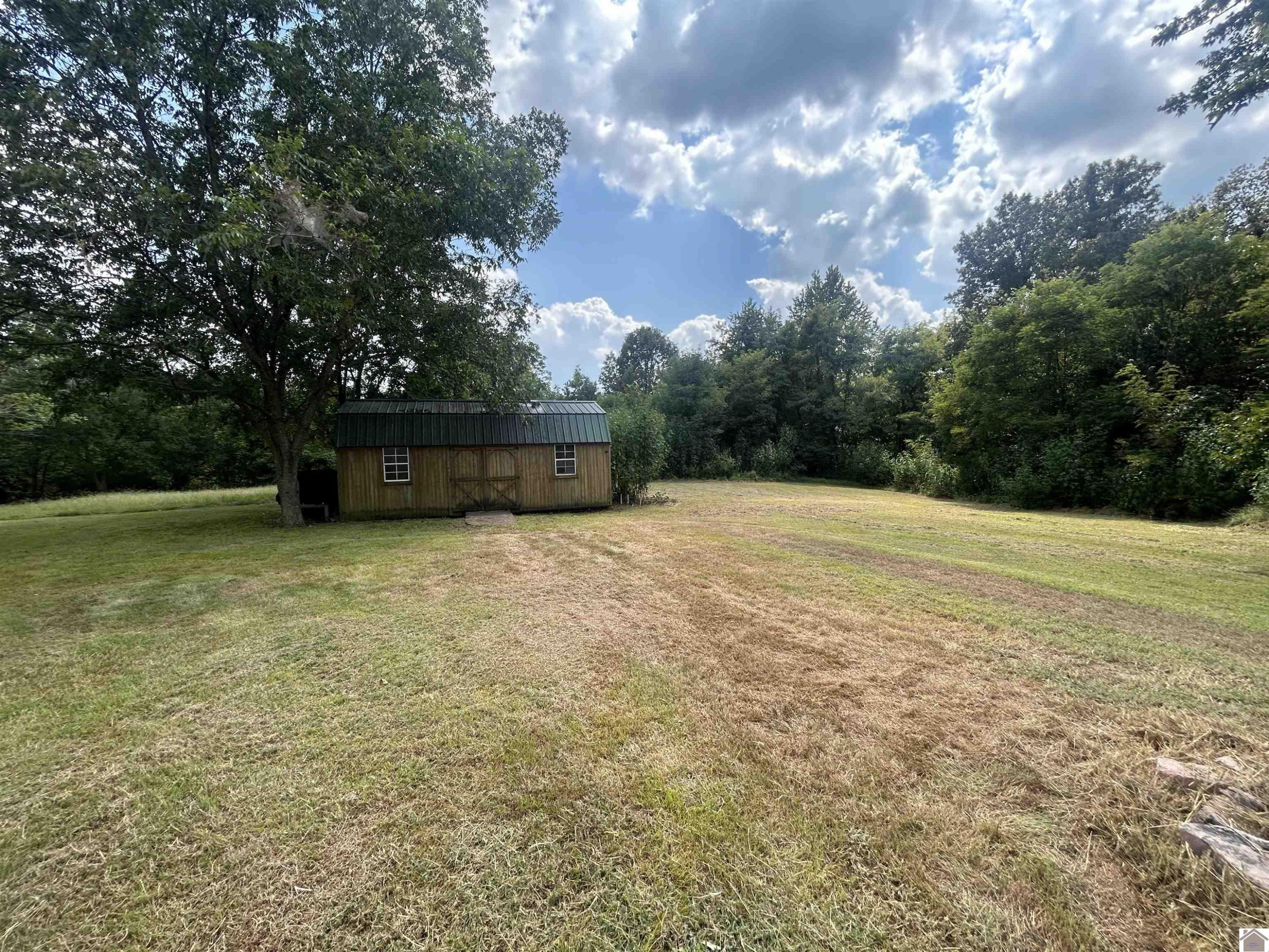 1009 Rudy Road Mayfield, KY 42066 - Photo 5 of 24 Back