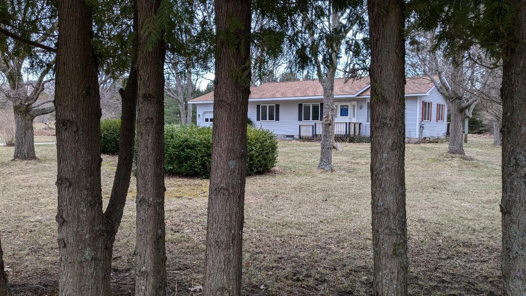 3341 Jungle Inn Road Arcadia, MI 49613 - Photo 1 of 44 Nicely Framed by Trees