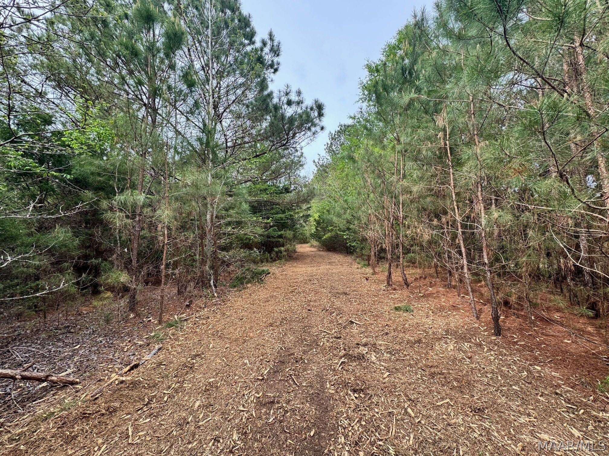 0 West Sprague Junction Road Ramer, AL 36069 - Photo 13 of 14 Gallery Image 13