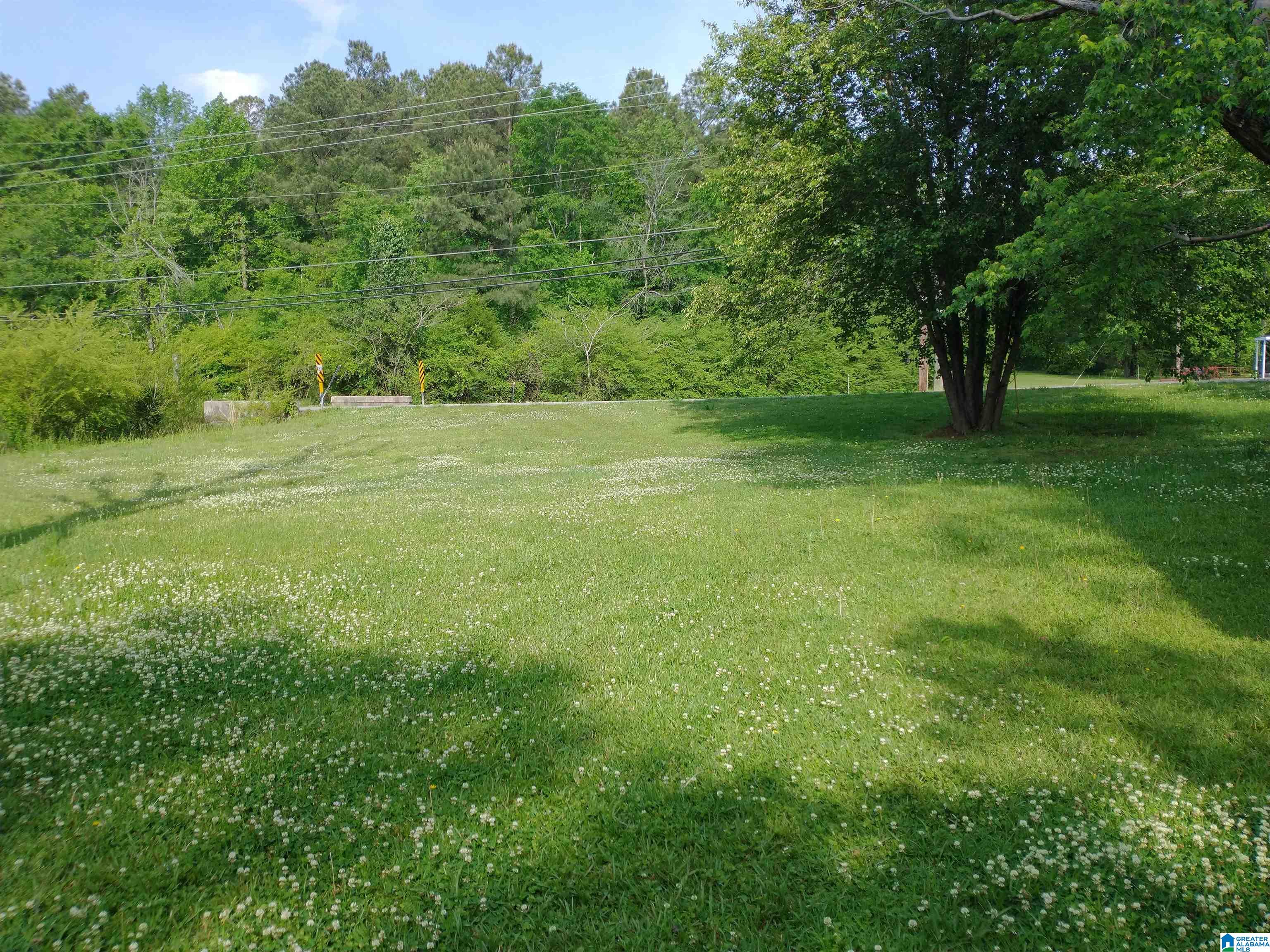 8785 Bradford Trafford Road Pinson, AL 35126 - Photo 8 of 32