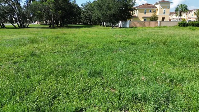 a view of a field of grass and trees