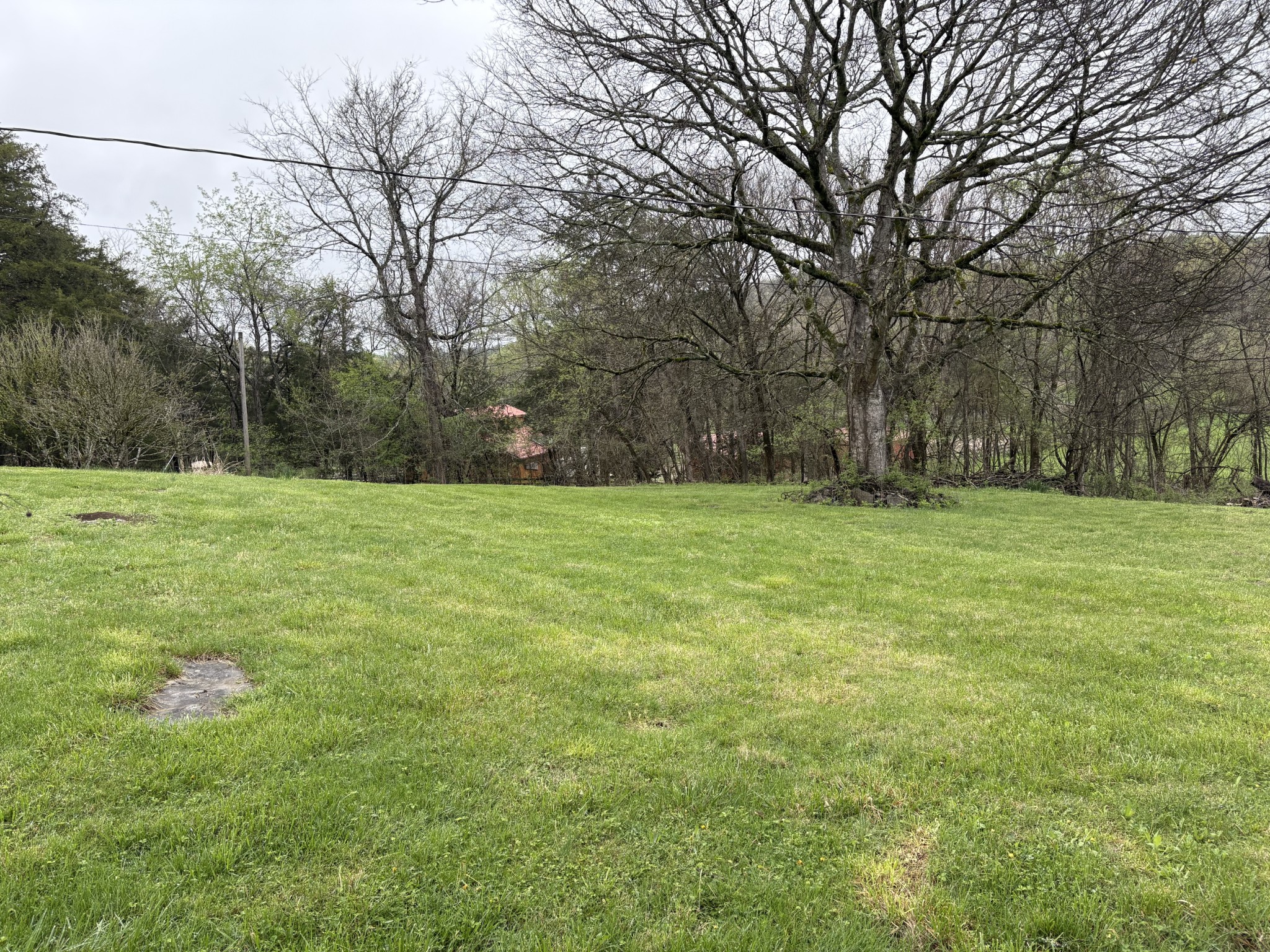 4218 Delina Road Cornersville, TN 37047 - Photo 7 of 20 Gallery Image 7