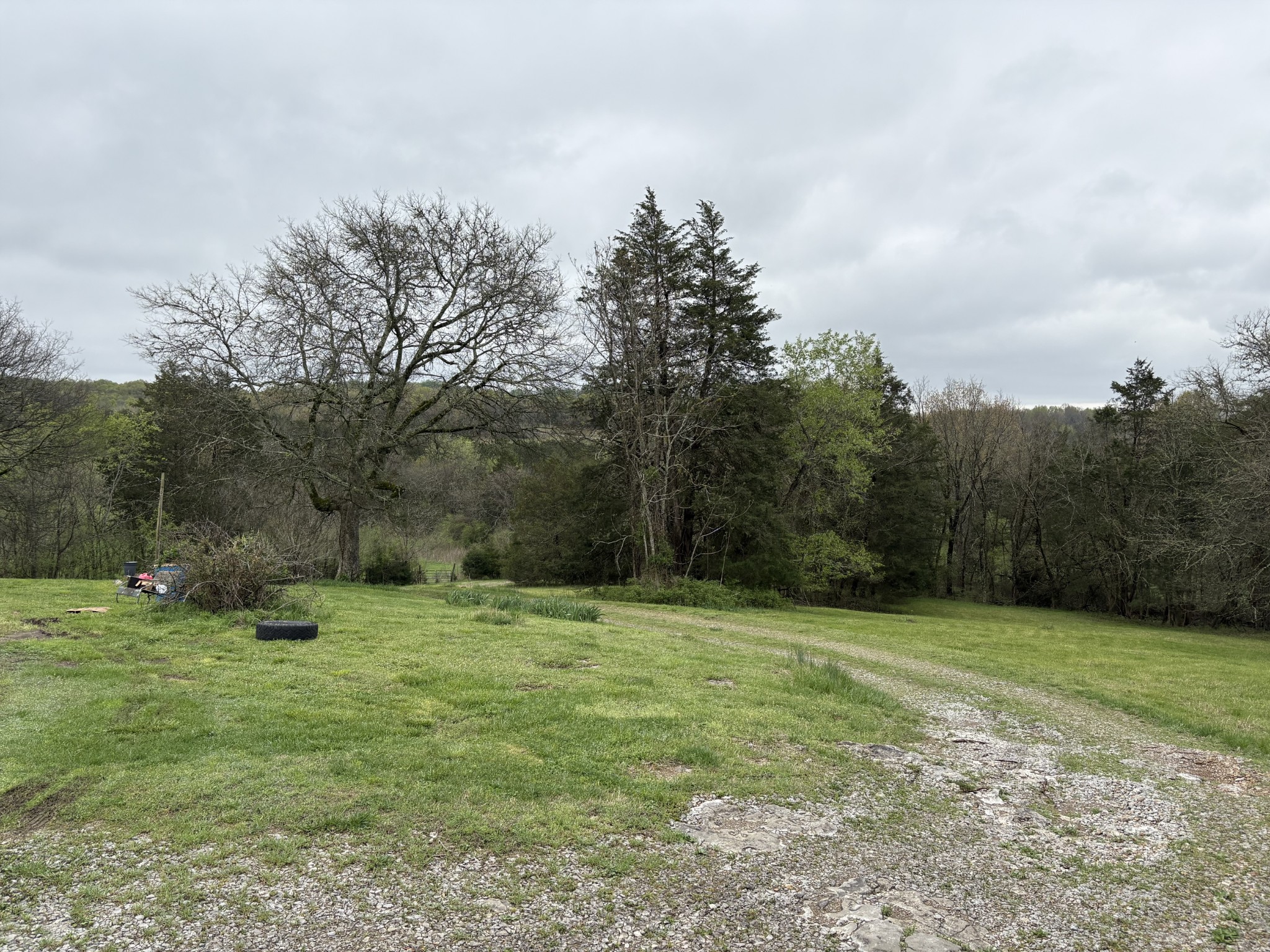 4218 Delina Road Cornersville, TN 37047 - Photo 8 of 20 Gallery Image 8