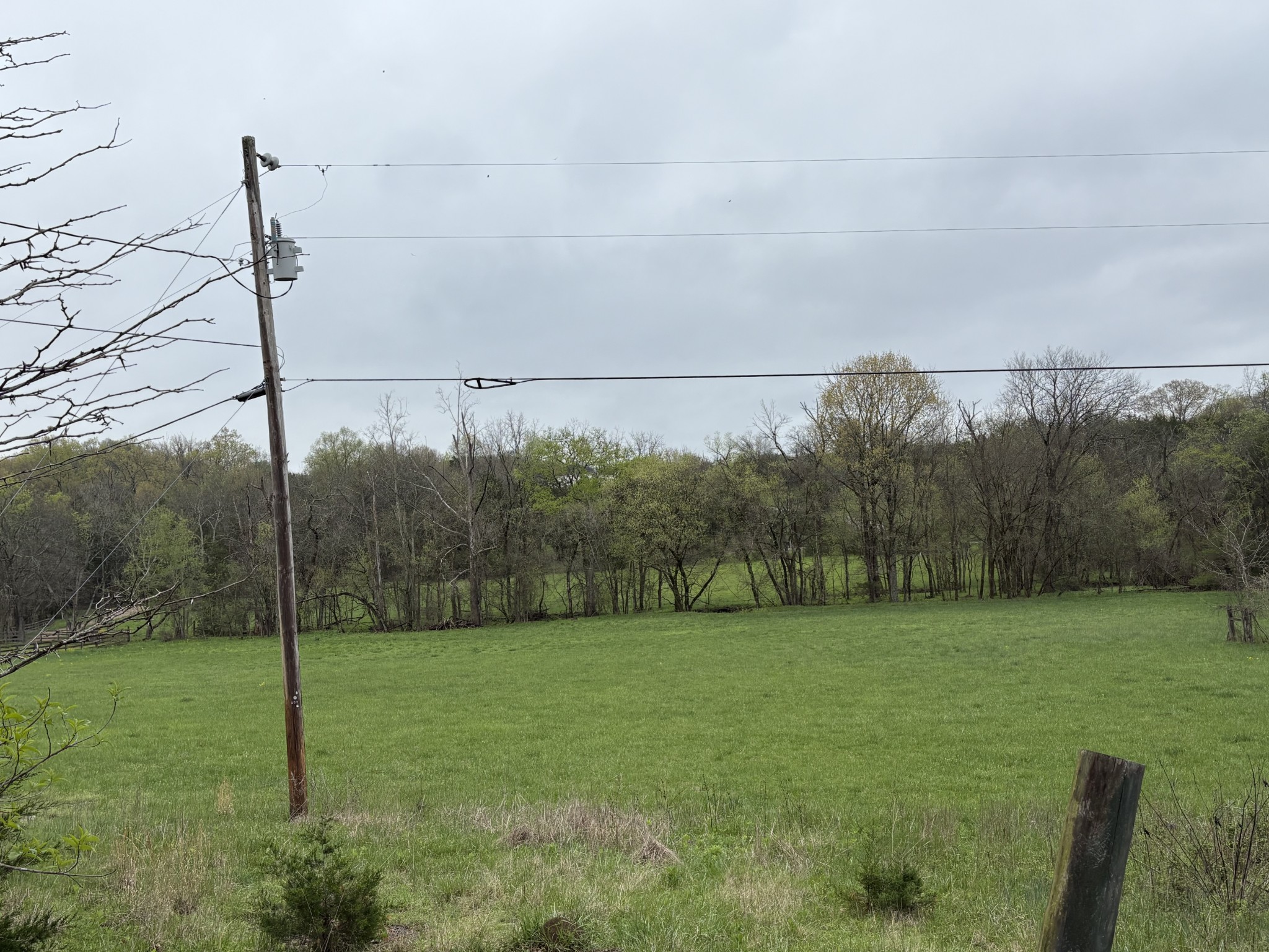 4218 Delina Road Cornersville, TN 37047 - Photo 10 of 20 Gallery Image 10