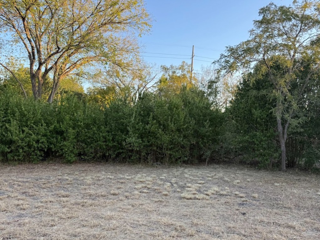 a view of backyard with green space