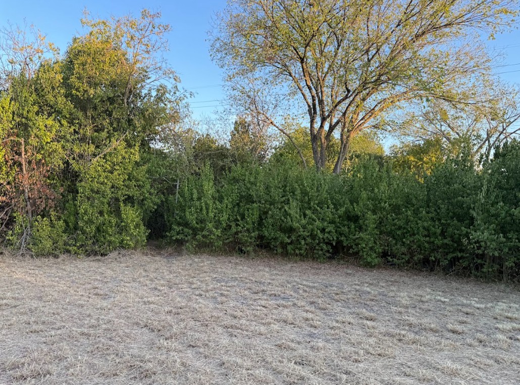 1121 Miller Street Taylor, TX 76574 - Photo 2 of 12 a view of outdoor space and yard