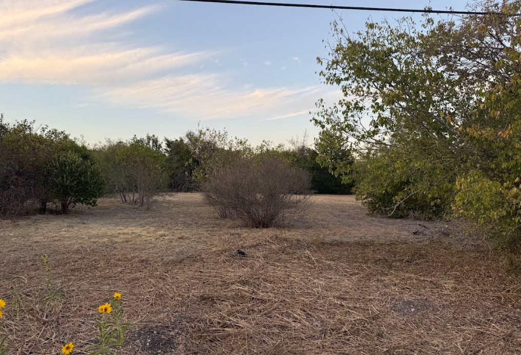 1121 Miller Street Taylor, TX 76574 - Photo 4 of 12 a view of a dry yard with trees