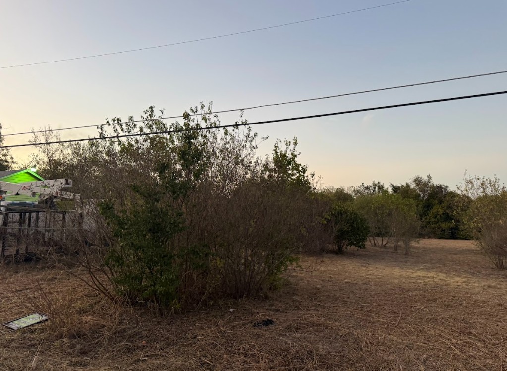 1121 Miller Street Taylor, TX 76574 - Photo 5 of 12 a view of a yard