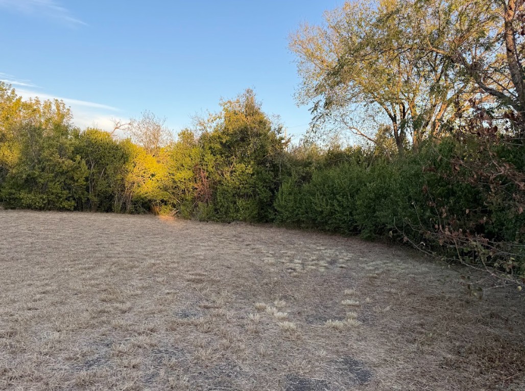 1121 Miller Street Taylor, TX 76574 - Photo 6 of 12 a view of a field with trees in the background