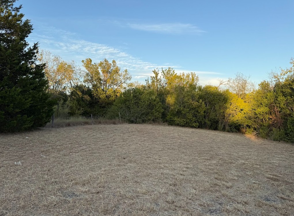 1121 Miller Street Taylor, TX 76574 - Photo 7 of 12 a view of outdoor space