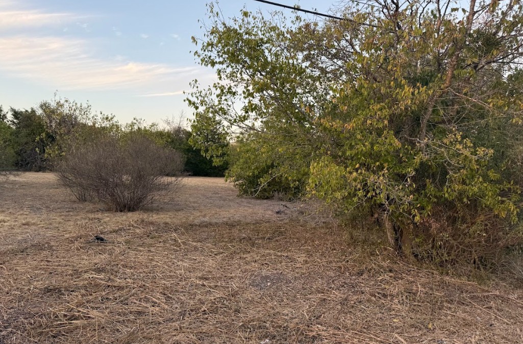 1121 Miller Street Taylor, TX 76574 - Photo 8 of 12 a view of a dry yard with trees