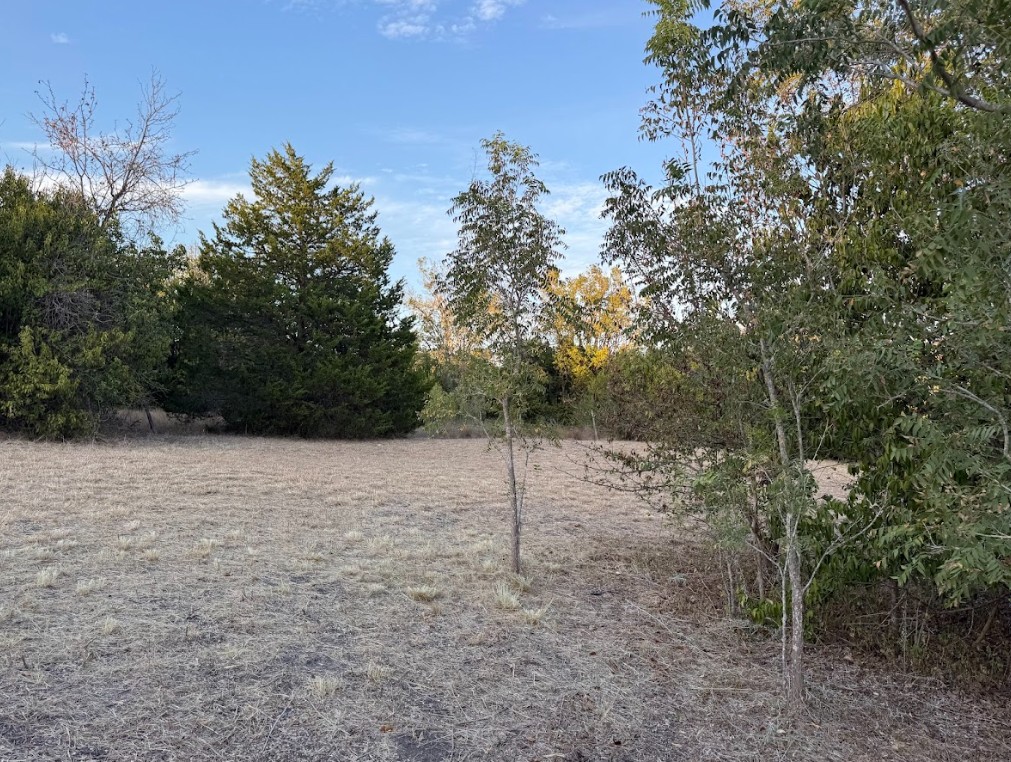 1121 Miller Street Taylor, TX 76574 - Photo 9 of 12 a view of a yard